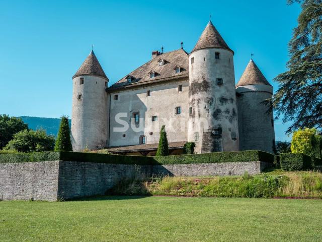Maison vente à Lully, Haute-Savoie