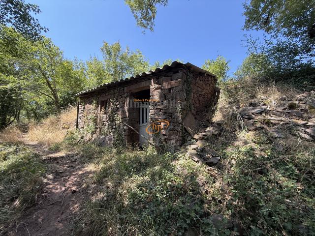 Maison vente à Millau, Saint-affrique