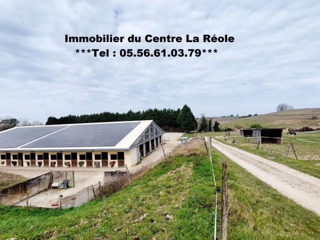 Maison vente à Langon, La Réole