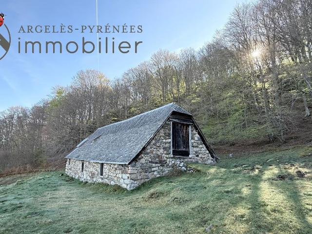 Maison vente à Argelès-Gazost, Aucun