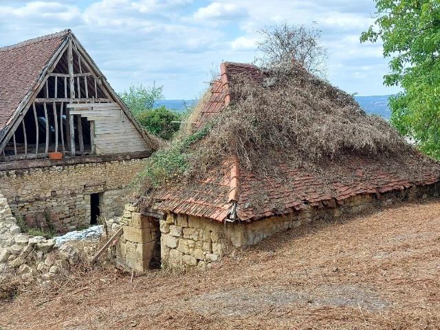 Maison vente à Sarlat-la-Canéda, Badefols-d'ans
