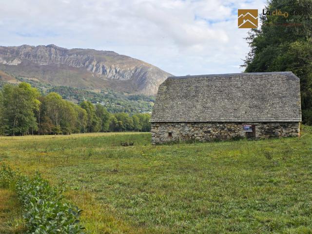 Maison vente à Terre Nère, Aucun