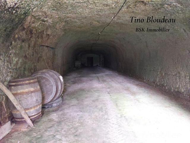Maison vente à Loches, La Croix-en-touraine