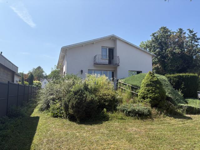 Maison vente à Hésingue, Collectivité européenne d'Alsace