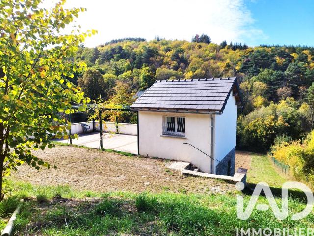 Maison vente à Millau, Saint-jean-du-bruel