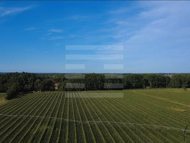 Maison vente à Montauban, Nègrepelisse
