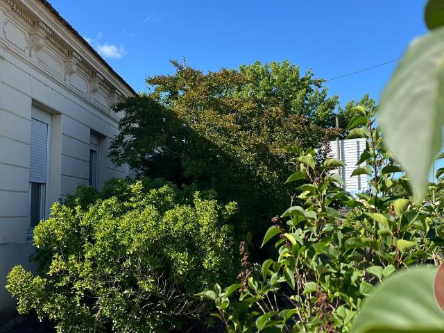 Maison vente à Bordeaux, Saint-médard-en-jalles