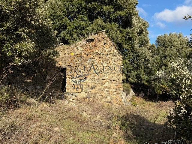 Maison vente à Calvi, Murato
