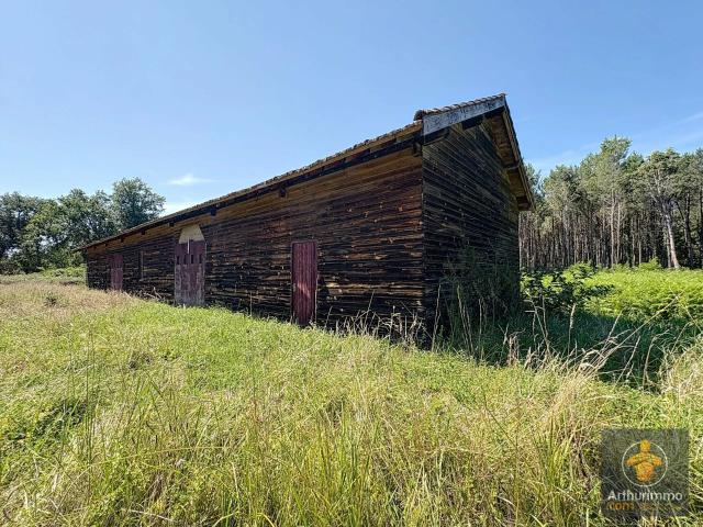 Maison vente à Mont-de-Marsan, Saint-paul-en-born