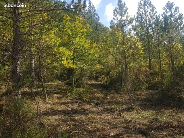 Maison vente à Rémuzat, Guadeloupe