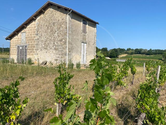 Maison vente à Libourne, Montagne