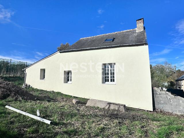 Maison vente à Chinon, Saint-aubin-le-dépeint