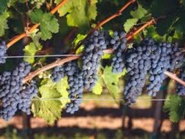 Maison vente à Bordeaux, Ludon-médoc