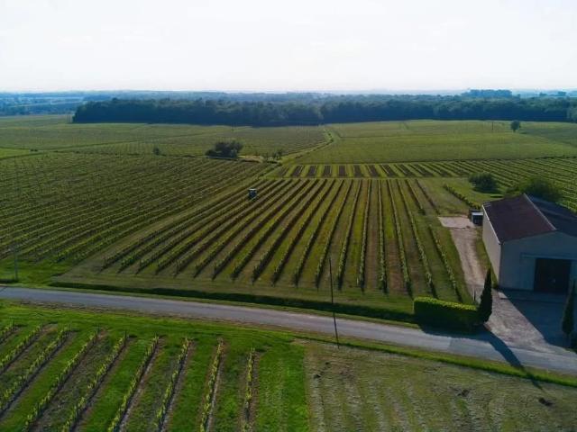 Maison vente à Langon, Sauveterre-de-guyenne