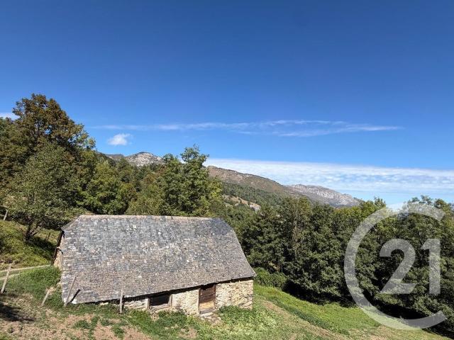Maison vente à Arrens, Arrens-Marsous