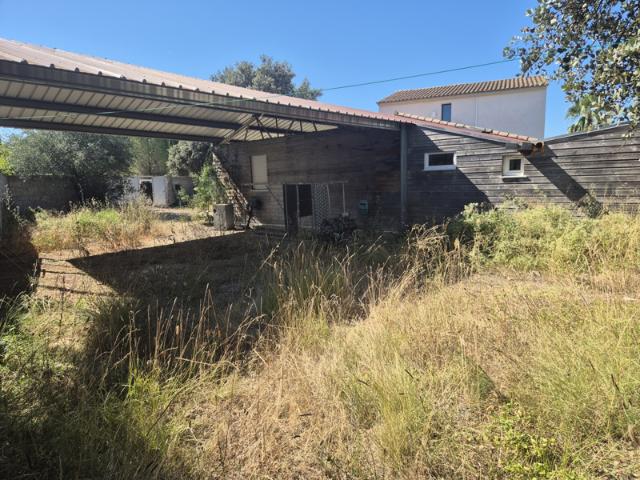 Maison vente à Montpellier, Villetelle