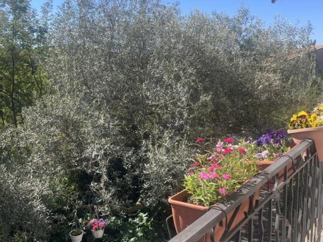 Maison vente à Alès, Les Mages