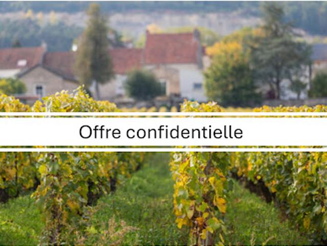 Maison vente à Puligny-Montrachet, Côte-d'Or