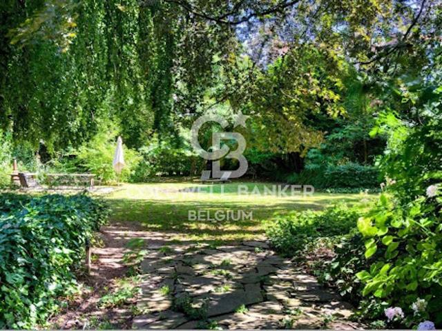 Maison vente à Elsene, Bruxelles
