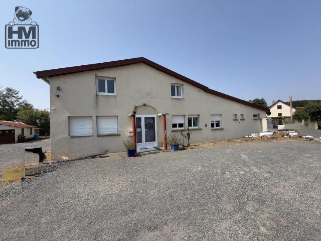 Maison vente à Brive-la-Gaillarde, Saint-sornin-lavolps