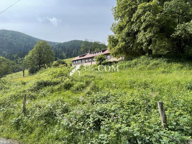 Maison vente à Colmar-Ribeauvillé, Sainte-marie-aux-mines