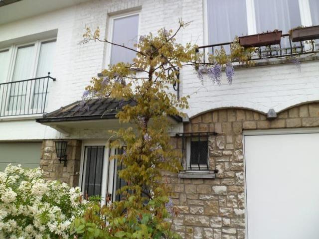 Maison location à Sint-pieters-woluwe, Bruxelles