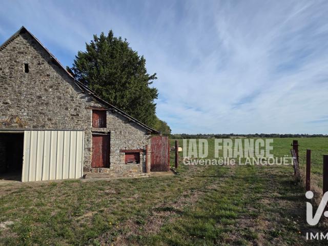 Maison vente à ZA du Bourgneuf, Val-d'Izé