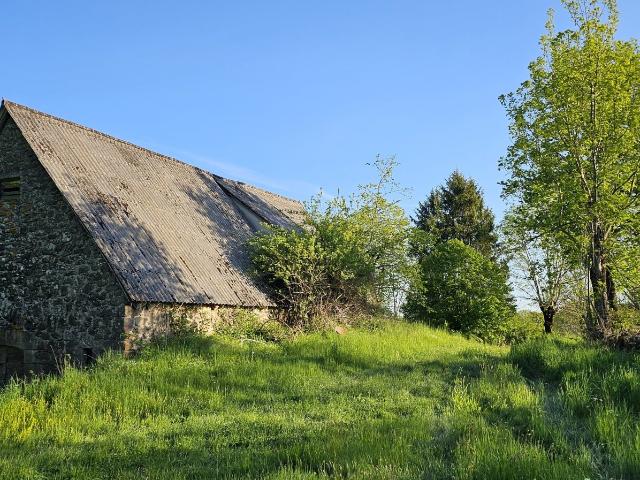 Maison vente à Drignac, Ally