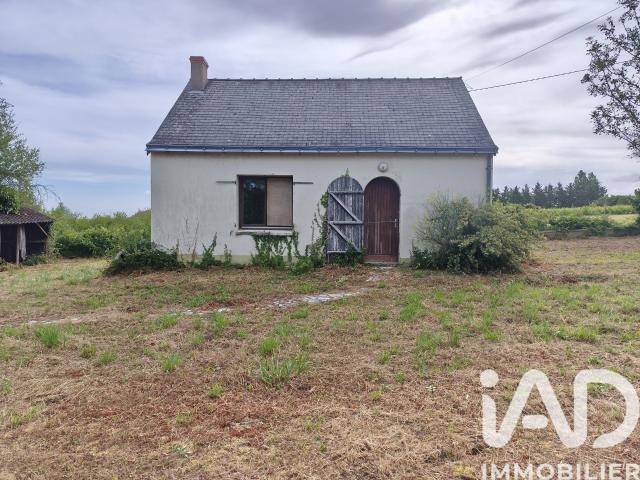 Maison vente à Cholet, Montjean-sur-loire