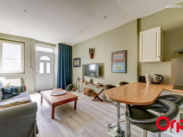 Maison vente à Lyon, Métropole de Lyon