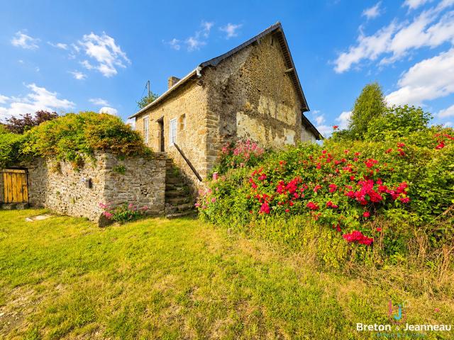 Maison vente à Mayenne, Izé