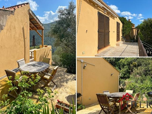 Maison vente à Calvi, Palasca