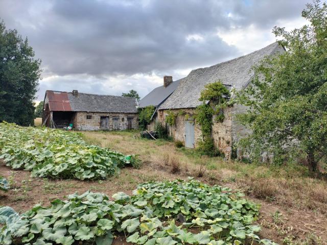 Maison vente à Mayenne, Courcité