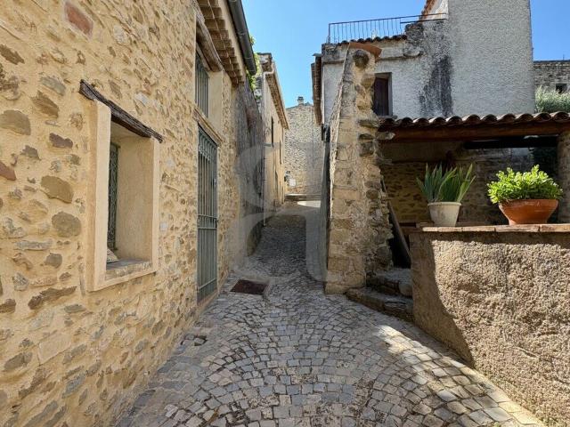 Maison vente à Vaison-la-romaine