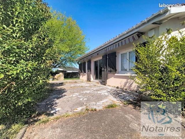 Maison vente à Bordeaux, Loupes