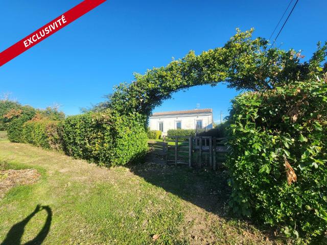 Maison vente à France métropolitaine, Tauriac