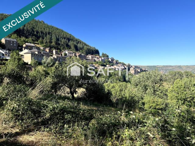 Maison vente à Millau, Montjaux