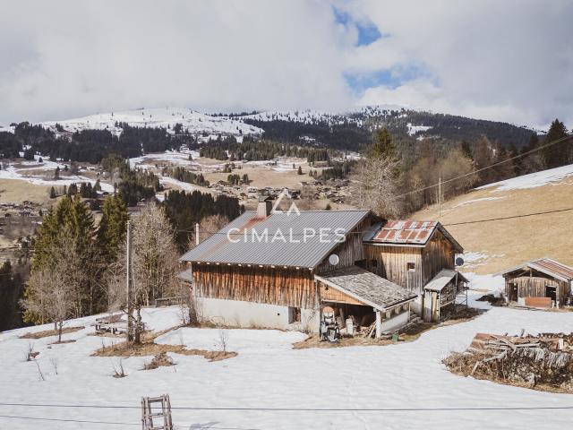 Maison vente à Les Plans, Les Gets