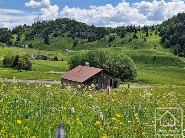 Maison vente à Onnion, Haute-Savoie