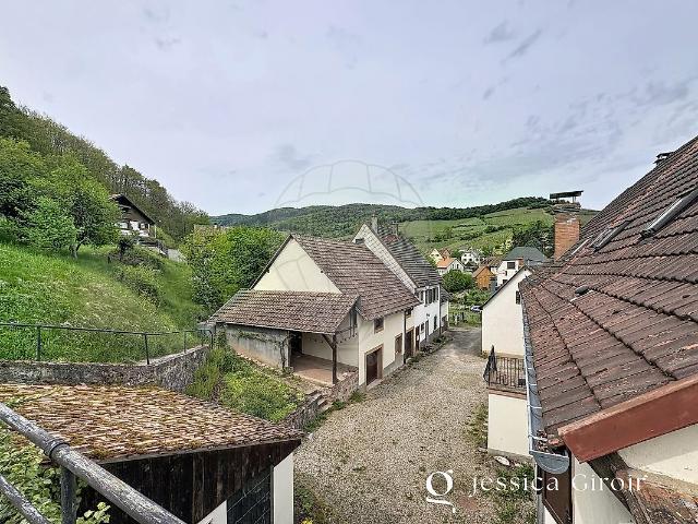 Maison vente à Colmar-Ribeauvillé, Wihr-au-val