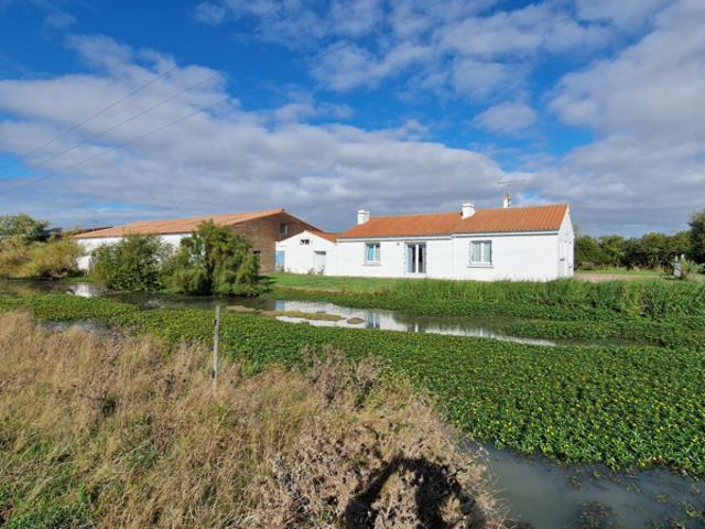Maison vente à Les Sables-d'Olonne, Bois-de-céné