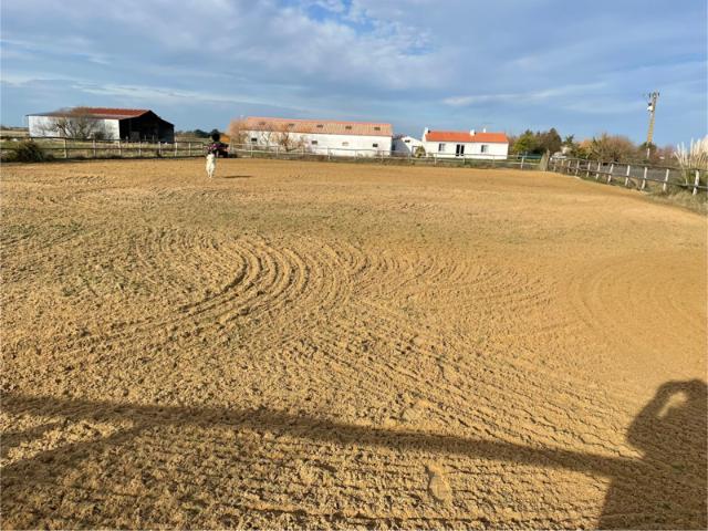 Maison vente à Les Sables-d'Olonne, Bois-de-céné