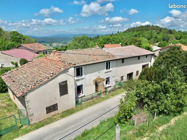 Maison vente à Saint-Jean-la-Vêtre, Loire