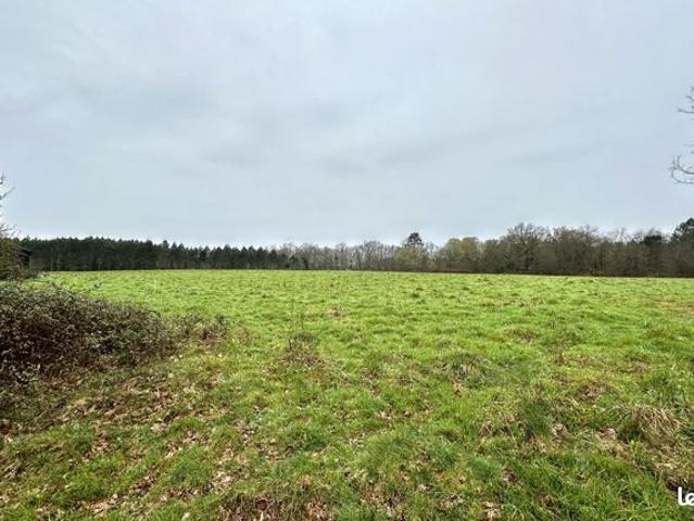 Maison vente à Langon, Aillas