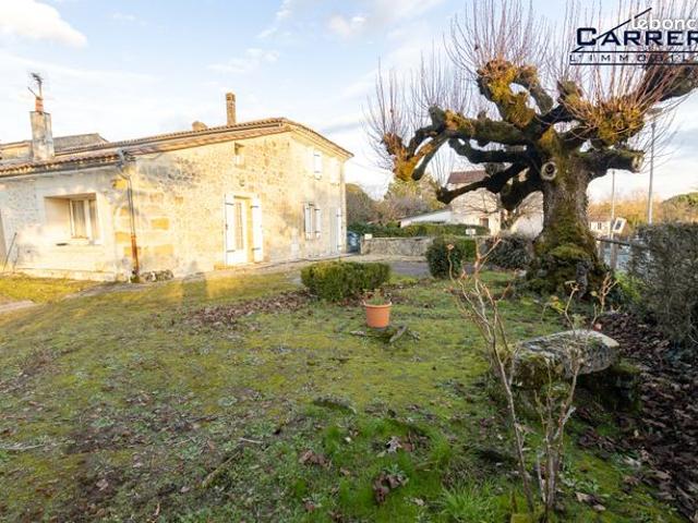 Maison vente à Bordeaux, Tresses