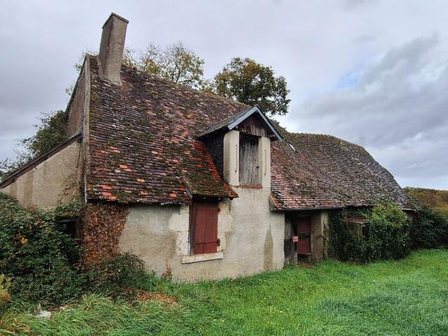 Maison vente à Blois, Mesland
