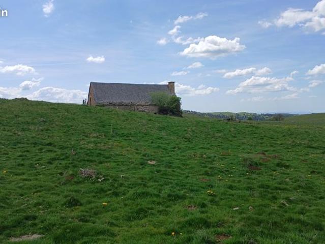Maison vente à Mauriac, Trizac