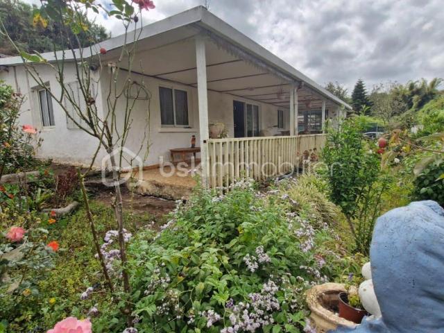 Maison vente à La Réunion