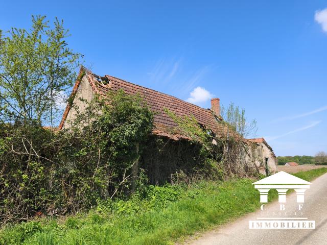 Maison vente à Louhans-Châteaurenaud, L'abergement-sainte-colombe