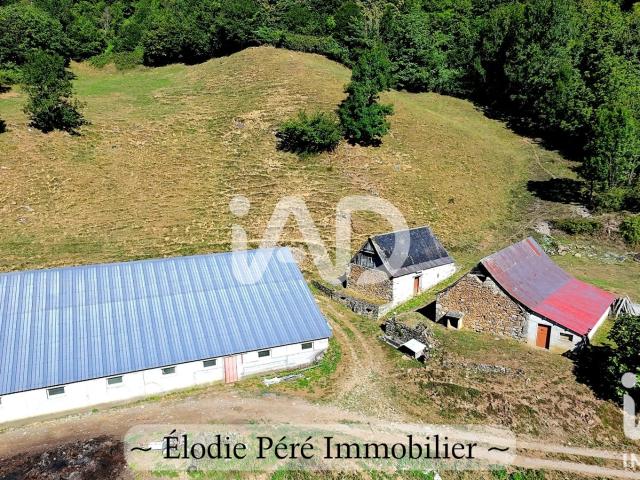 Maison vente à Toulas, Louvie-Soubiron